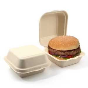 Biodegradable Burger Boxes
