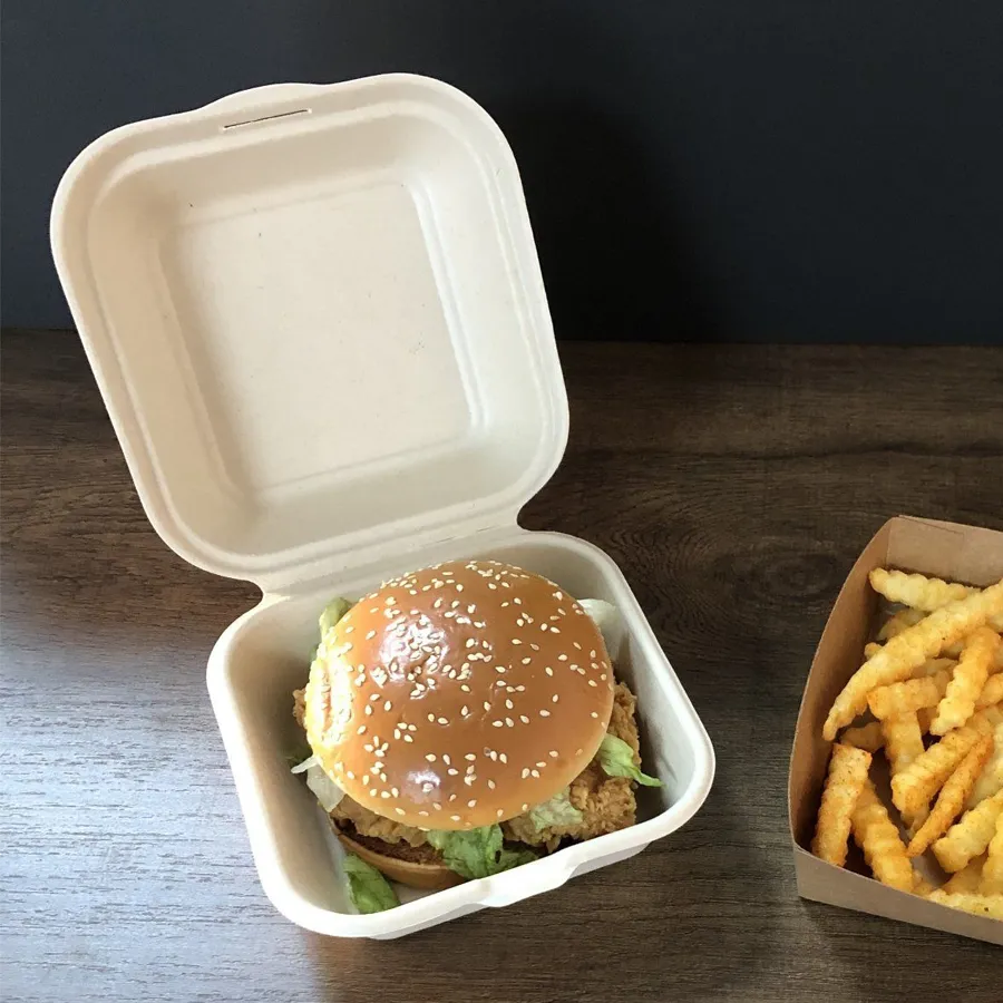 Disposable Burger Boxes-4