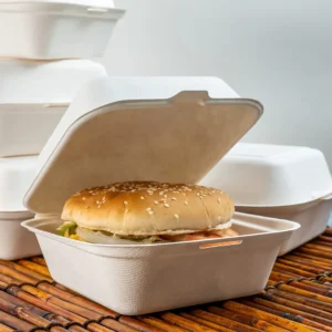 Styrofoam Burger Boxes