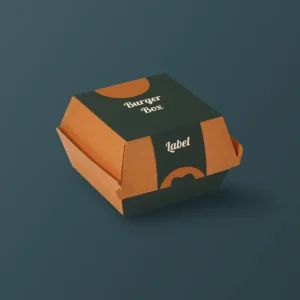 Takeaway Burger Boxes